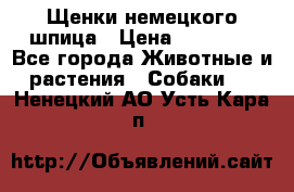 Щенки немецкого шпица › Цена ­ 20 000 - Все города Животные и растения » Собаки   . Ненецкий АО,Усть-Кара п.